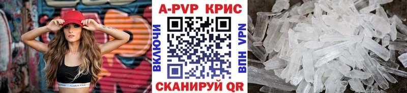 Альфа ПВП СК КРИС  Малгобек 