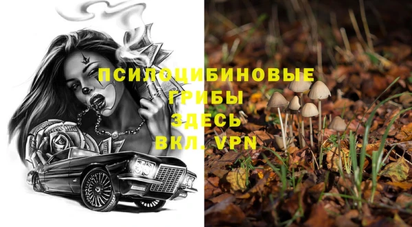 метадон Медвежьегорск