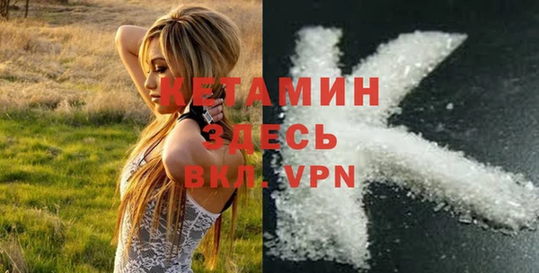 шишки Мегион