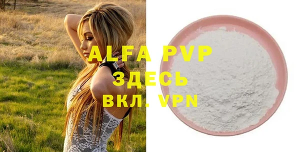 дживик Чита