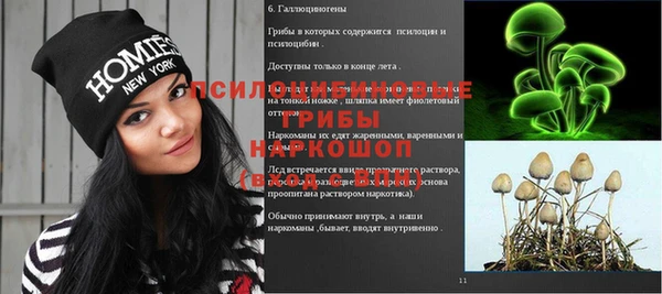 прущая мука Магас
