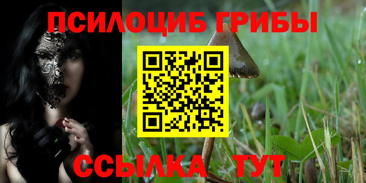 Галлюциногенные грибы MAGIC MUSHROOMS  Псилоцибиновые грибы MAGIC MUSHROOMS  Малгобек 