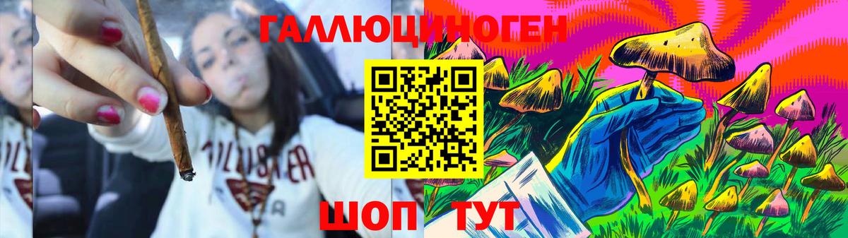 Галлюциногенные грибы Psilocybe  Вход с VPN  Малгобек  Галлюциногенные грибы Psilocybine cubensis 